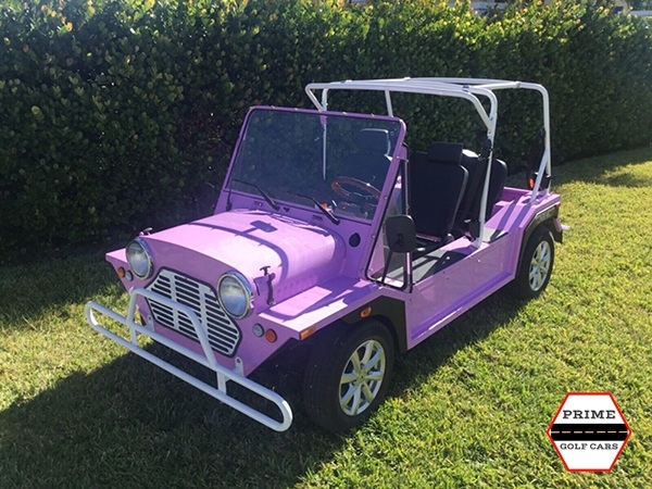 affordable golf cart rental, golf cart rent nettles island golf cart rental